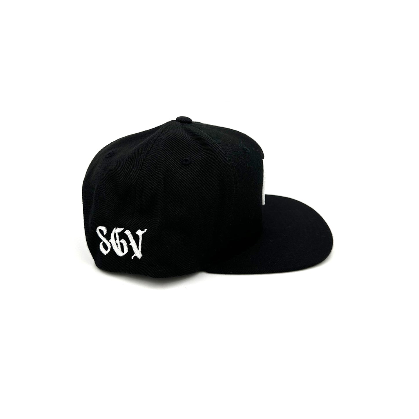 10 Freeway Snapback